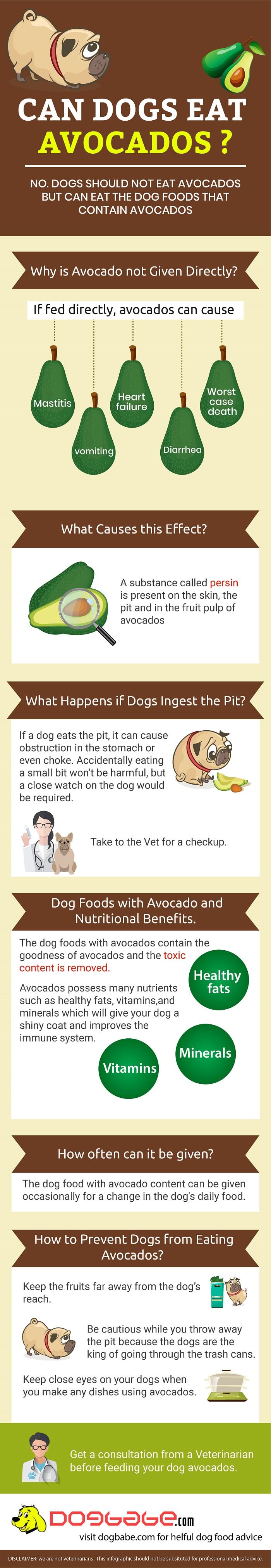 can dogs have avocado meat