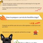 can dogs eat carrots - infographics