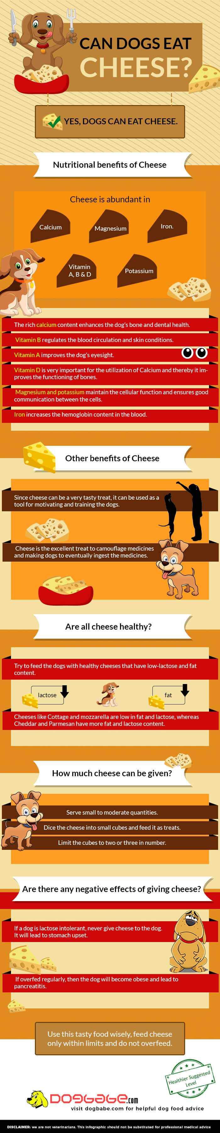 can dogs eat cheese - infographics