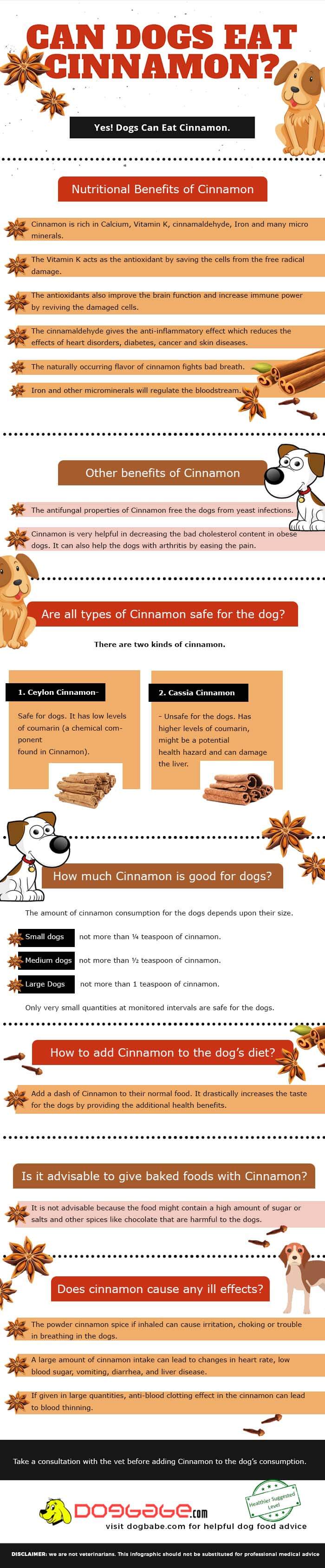 can dogs eat cinnamon - infographics