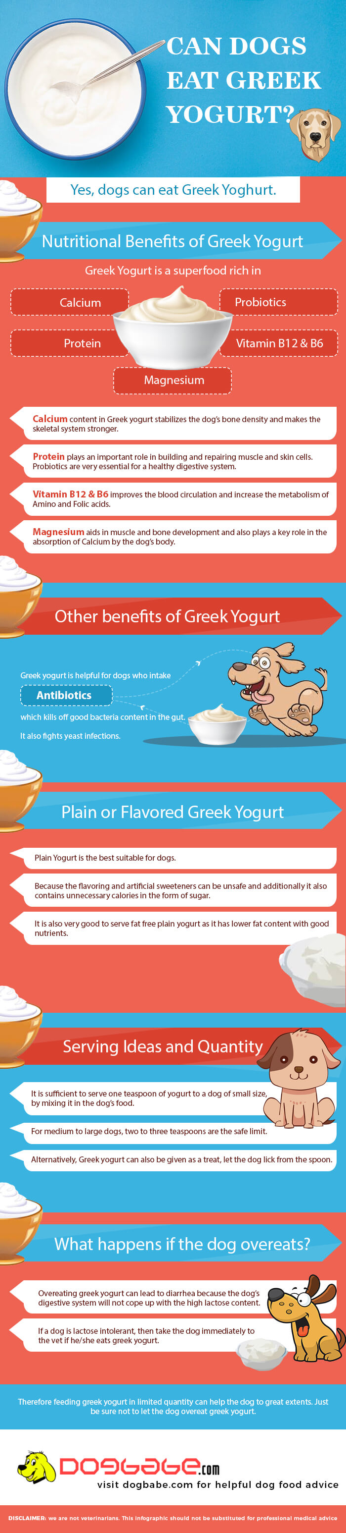 can dogs eat greek yogurt - infographics