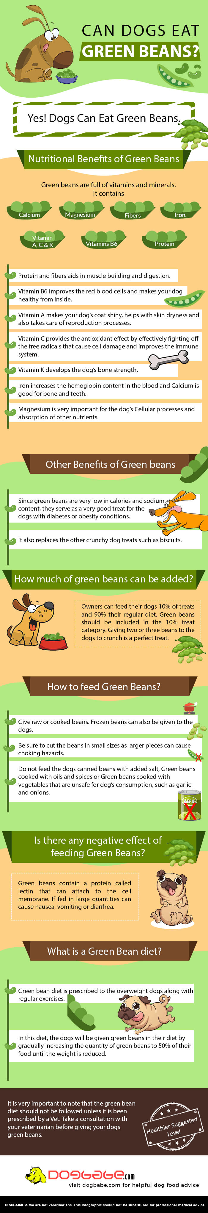 Can Dogs Eat Green Beans? Find Out All About Green Veggie ...