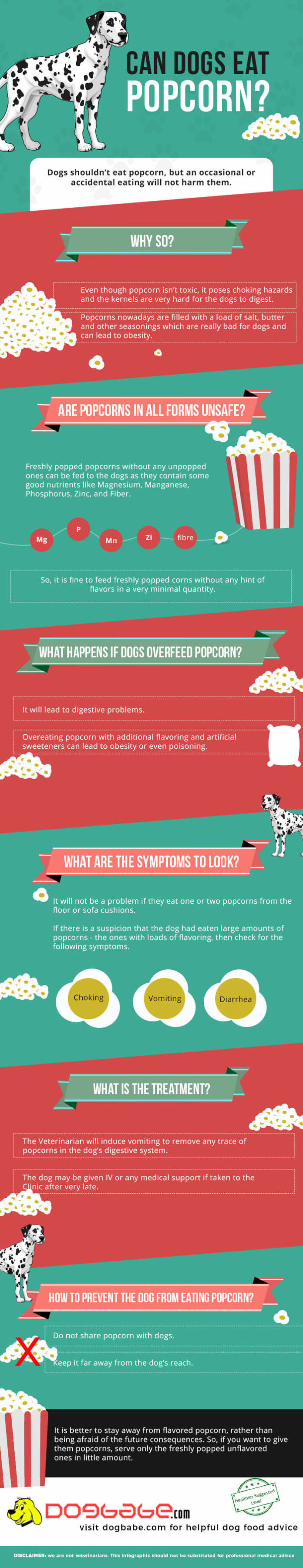 Can I feed Popcorn To My Dog? Is Popcorn Bad For Dogs? Read The