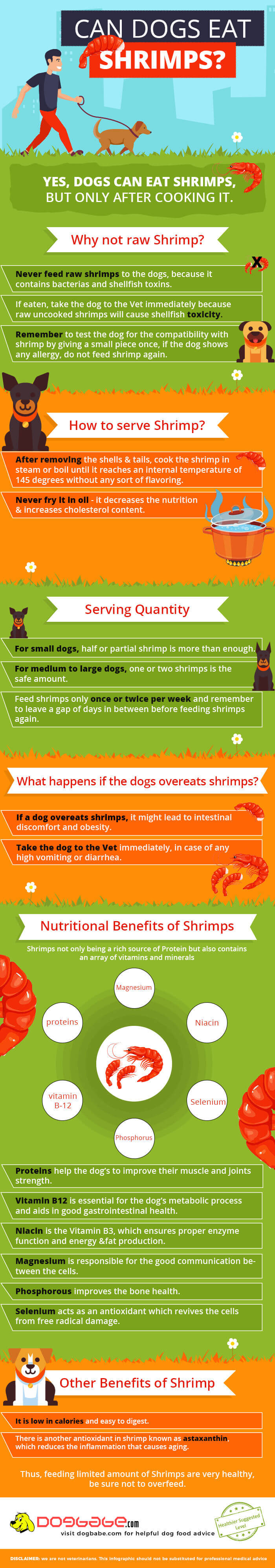 Can dogs eat shrimp infographic