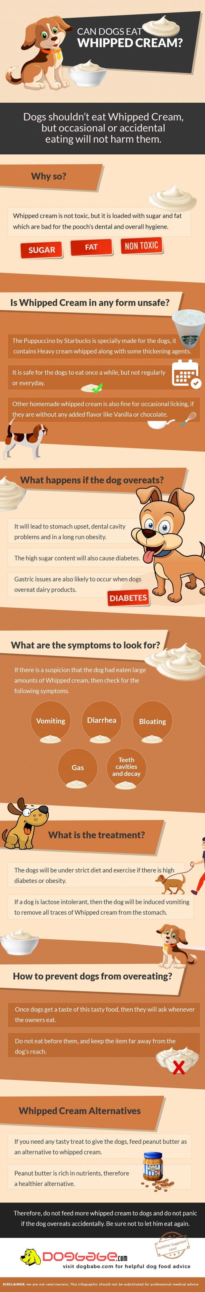 Whipped Cream For Your Dog? Can Dogs Eat Whipped Cream? Beware!