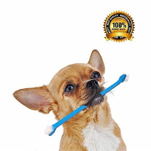 GOLF Pet Dog Soft Toothbrush