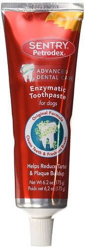 Petrodex Enzymatic Dog Toothpaste