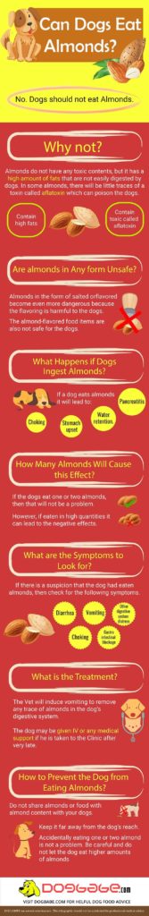 Are Almonds Bad for Dogs? Beware! Don’t Feed Them! Here's Why