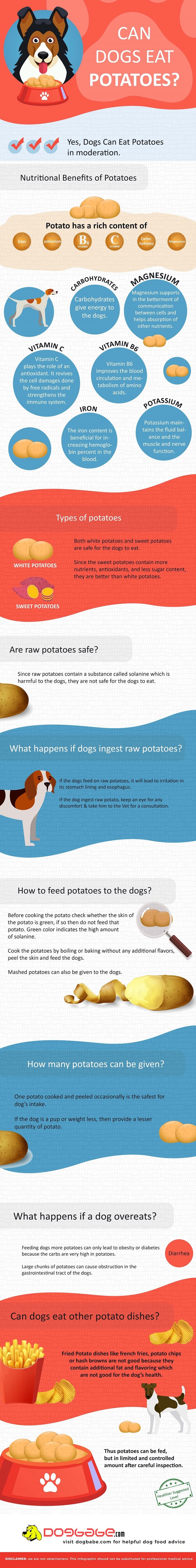 can dogs eat potatoes infographic