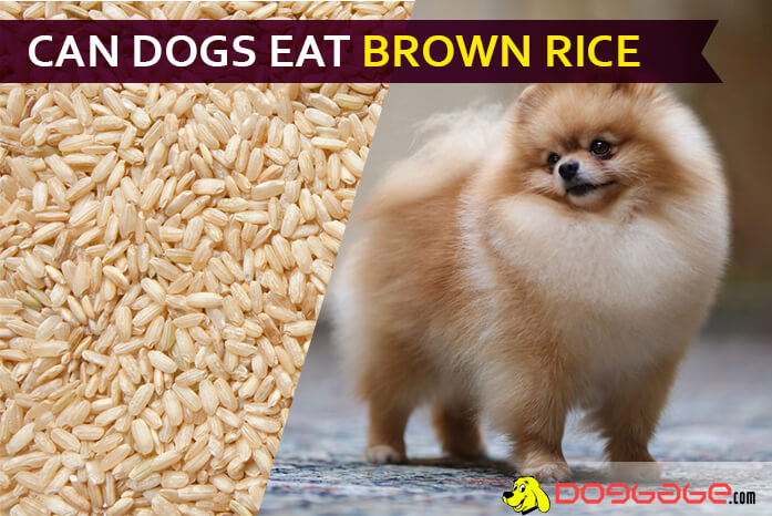 rice dogs
