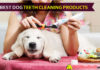 Best Dog Teeth Cleaning Products dog teeth cleaning products