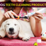Best Dog Teeth Cleaning Products dog teeth cleaning products
