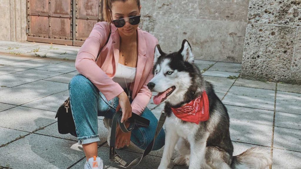 How To Stop My Dog Barking At Other Dogs? Dog Babe