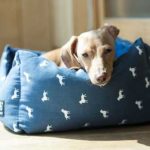 How to Choose a Dog Bed? Got To Get It Right!